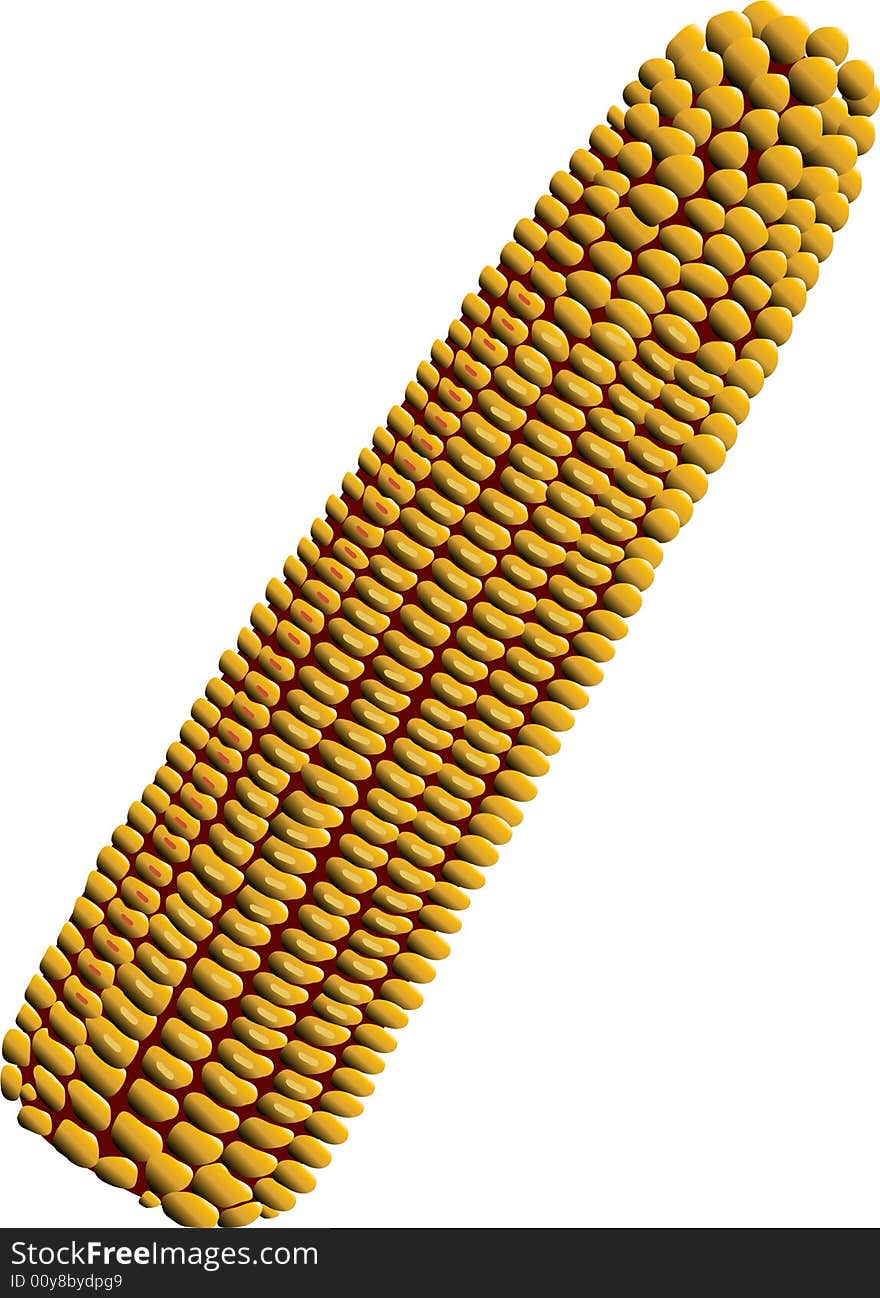 Corn