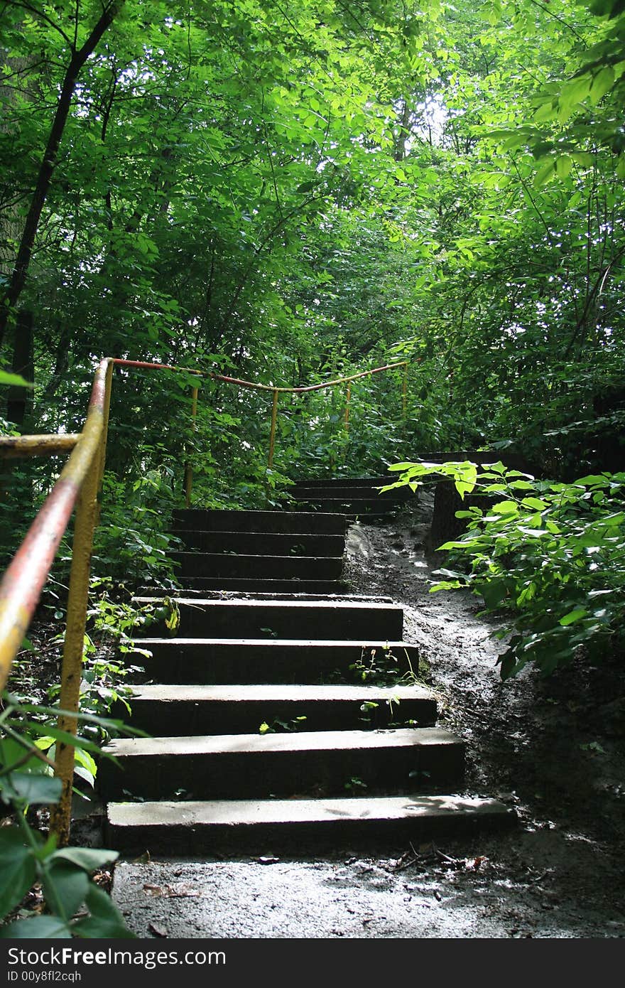 Concrete stairway in the middle of nature preserve park in Prague. Concrete stairway in the middle of nature preserve park in Prague.