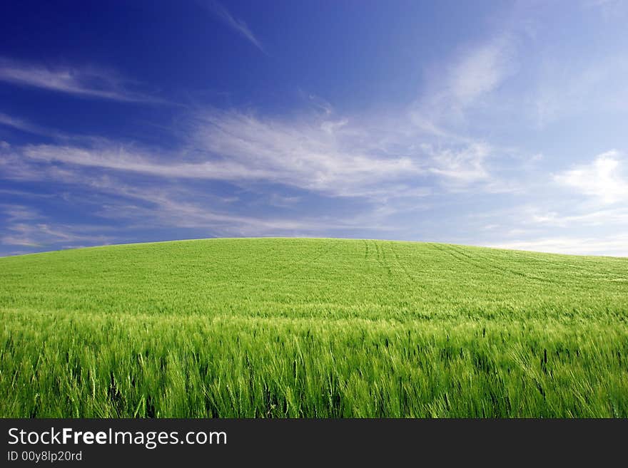 Grain field, raw materials, flour, bread, furnace, feeding. Grain field, raw materials, flour, bread, furnace, feeding