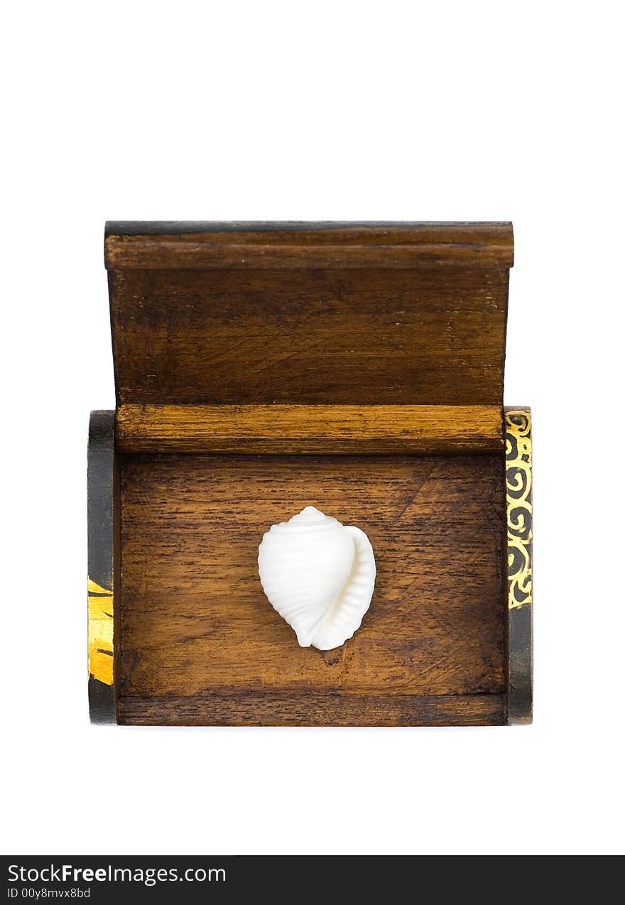 A white seashell in the wooden box. A white seashell in the wooden box.