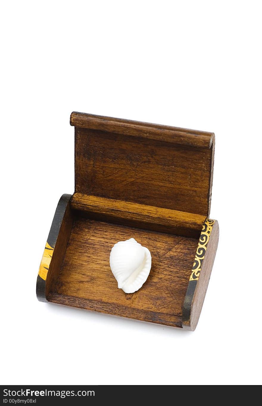 A white seashell in the wooden box. A white seashell in the wooden box.