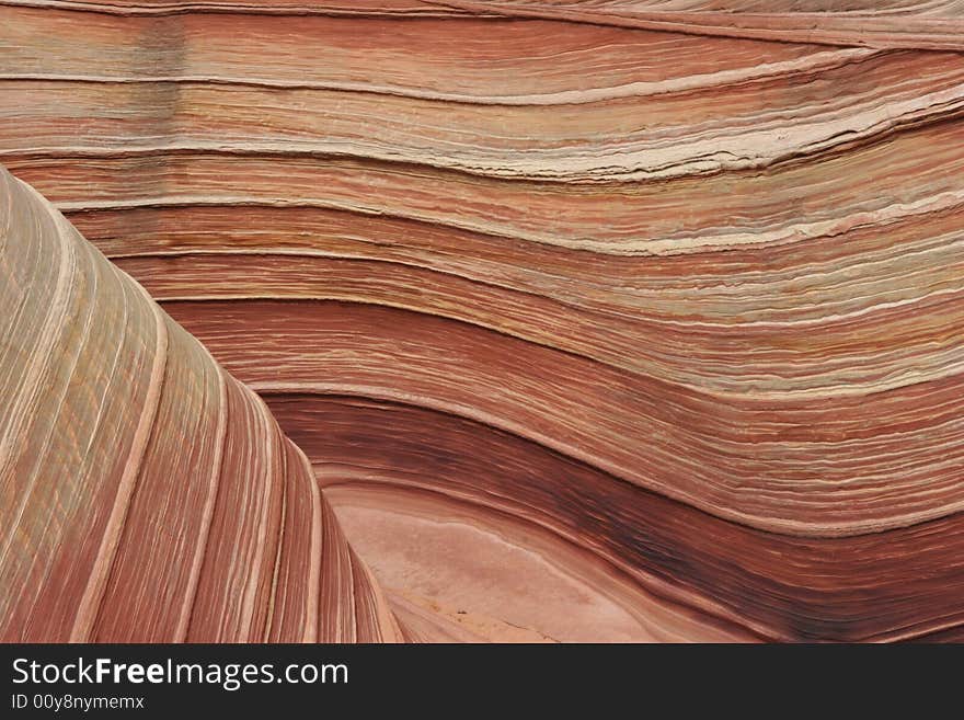 The Wave. Paria Canyon.