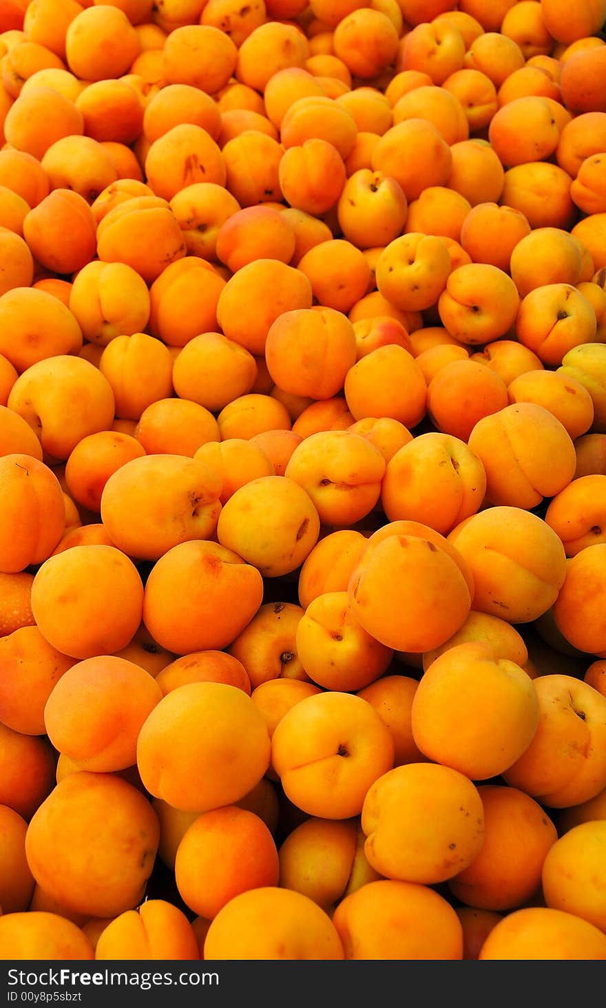 Abundant Supply of Farm Fresh Apricots