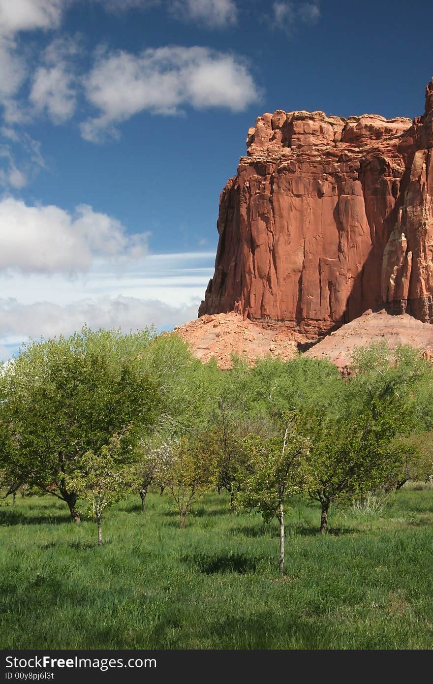 Capitol Reef National Park. Beautiful geologic features in background. Utah. USA