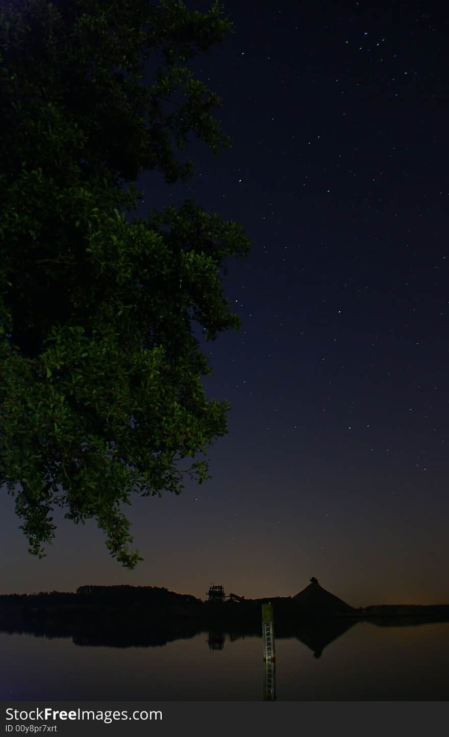 A tree at the lake at night