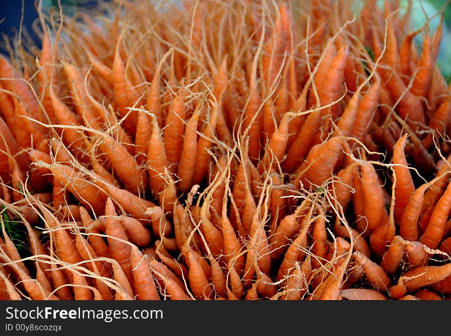 Fresh Bunch of Carrots