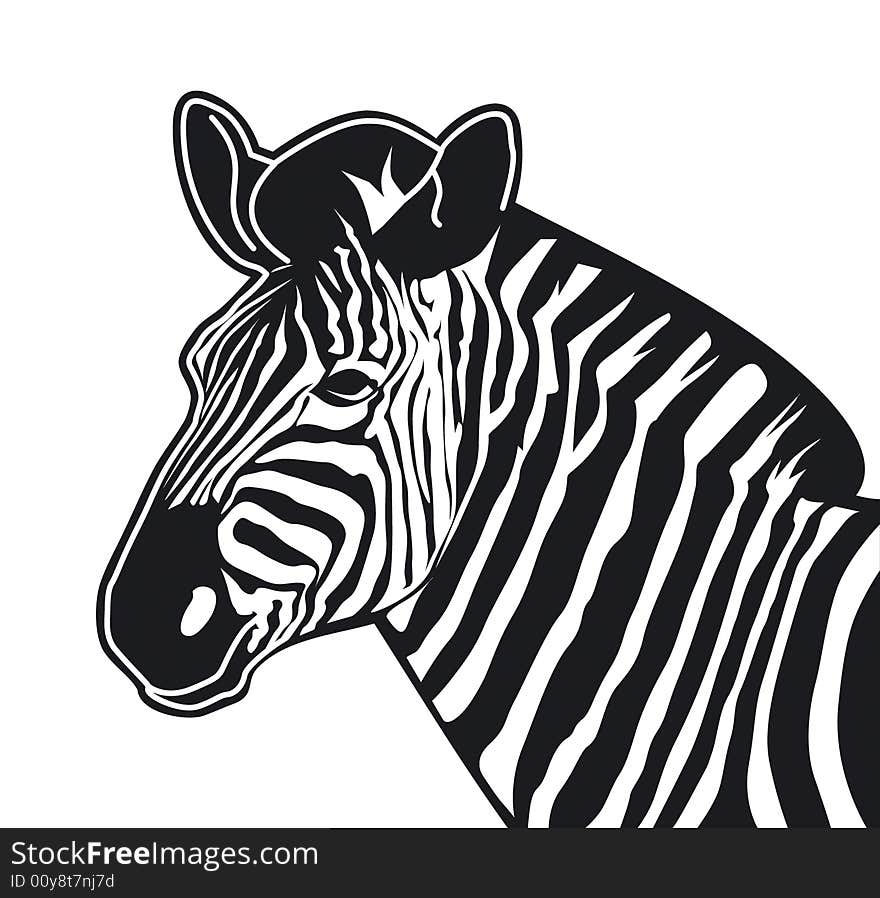 Zebra