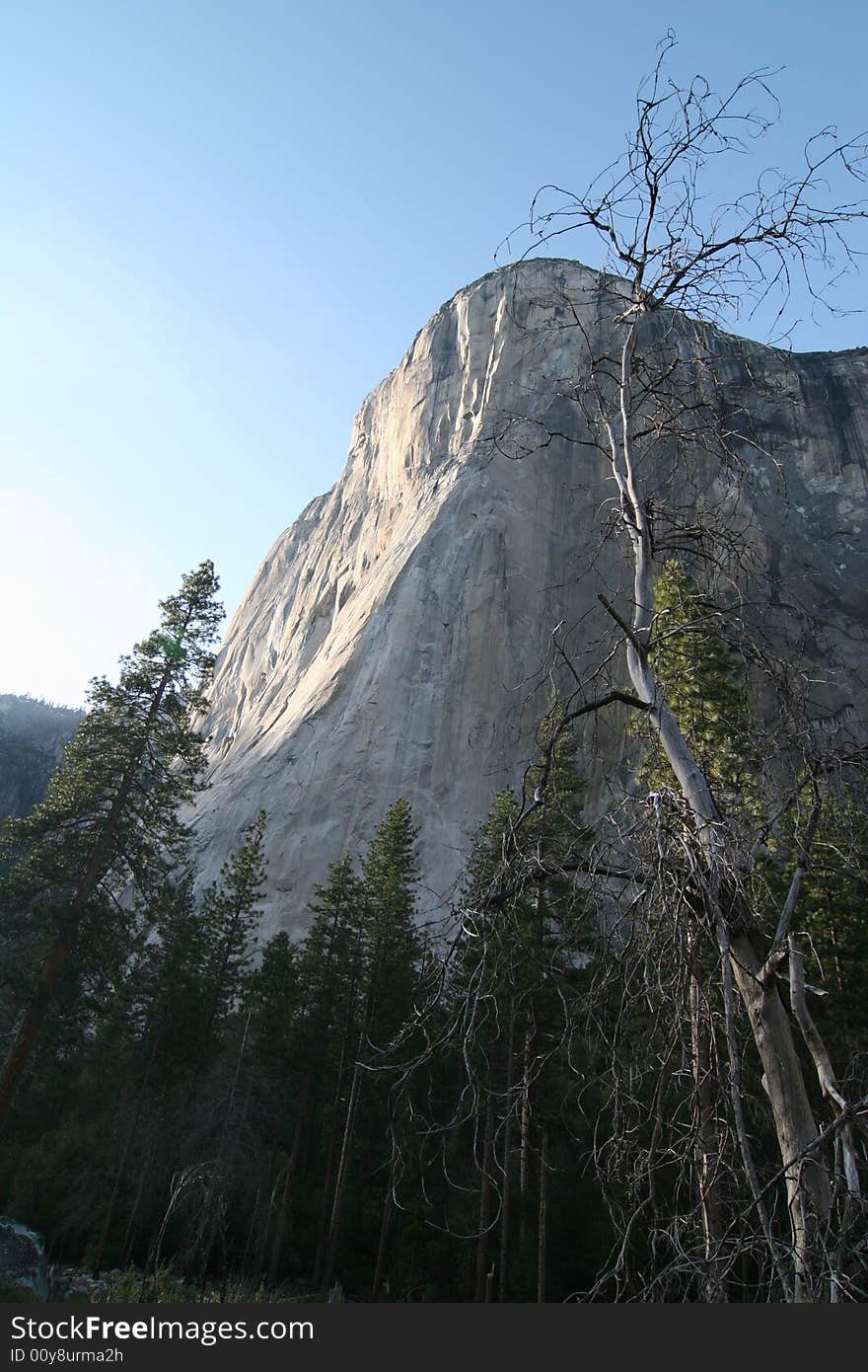 Famous natural landmark destination El Capitan, one of the magnificent mountains in Yosemite. Yosemite national park. California. USA