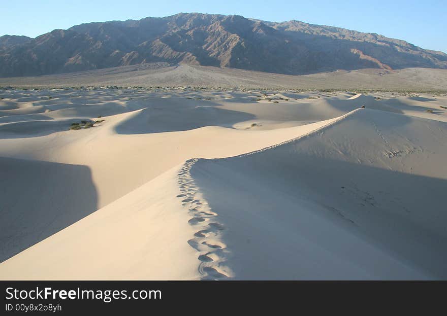 Footsteps in brink of sand hills. Death Valley national park. California. USA. Footsteps in brink of sand hills. Death Valley national park. California. USA