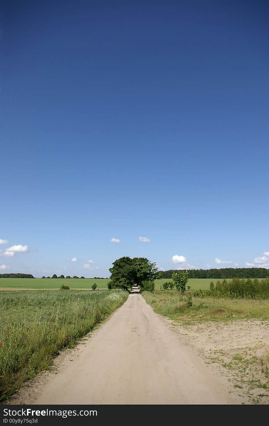 Country road with blue sky