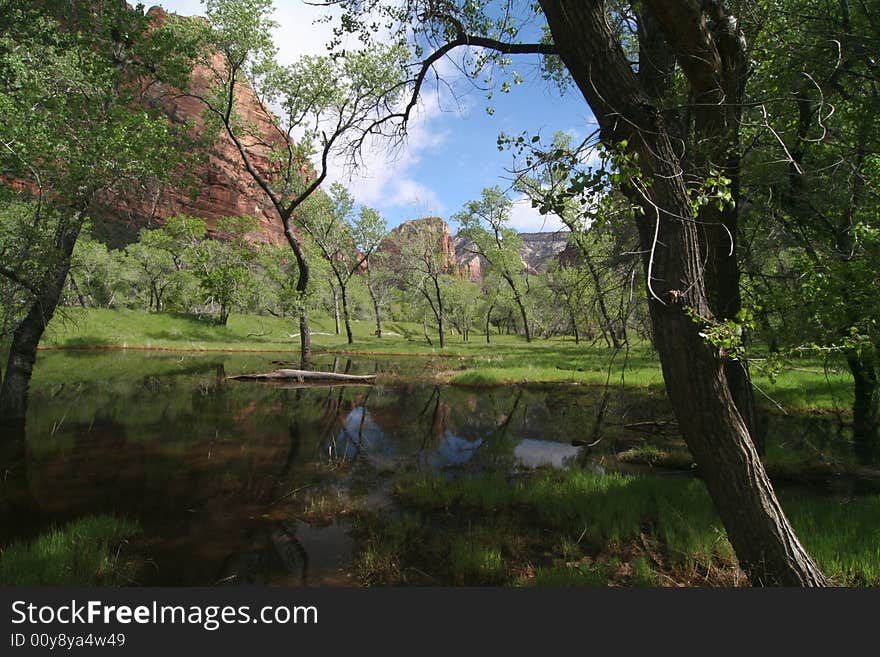 Zion National Park Standing water