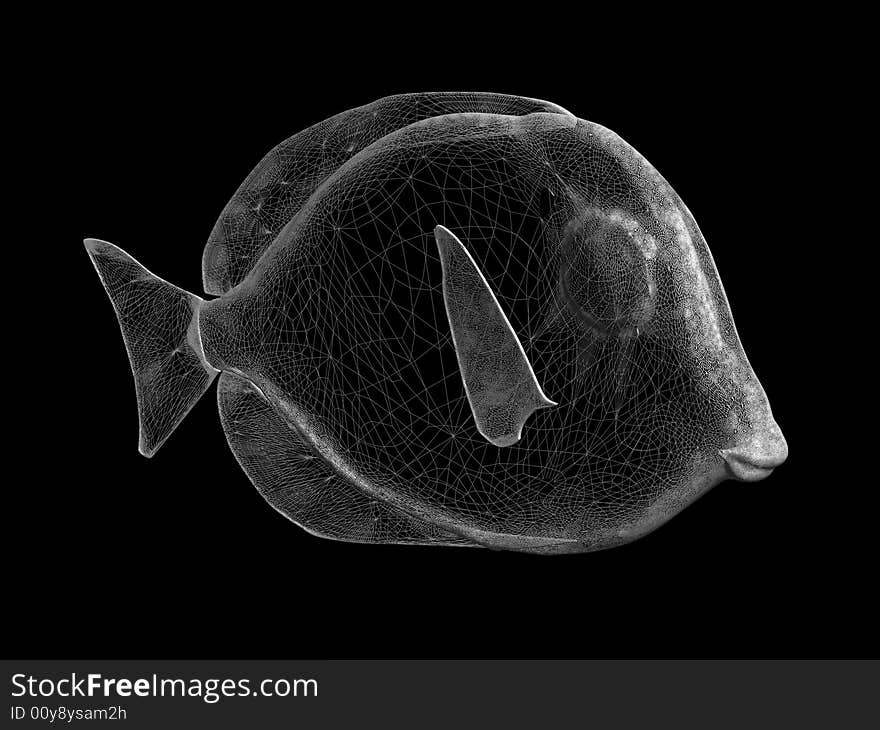 Render of white wire fish on black background. Render of white wire fish on black background