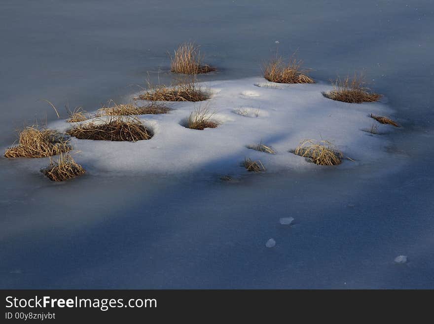 Lonely island in the frozen moor