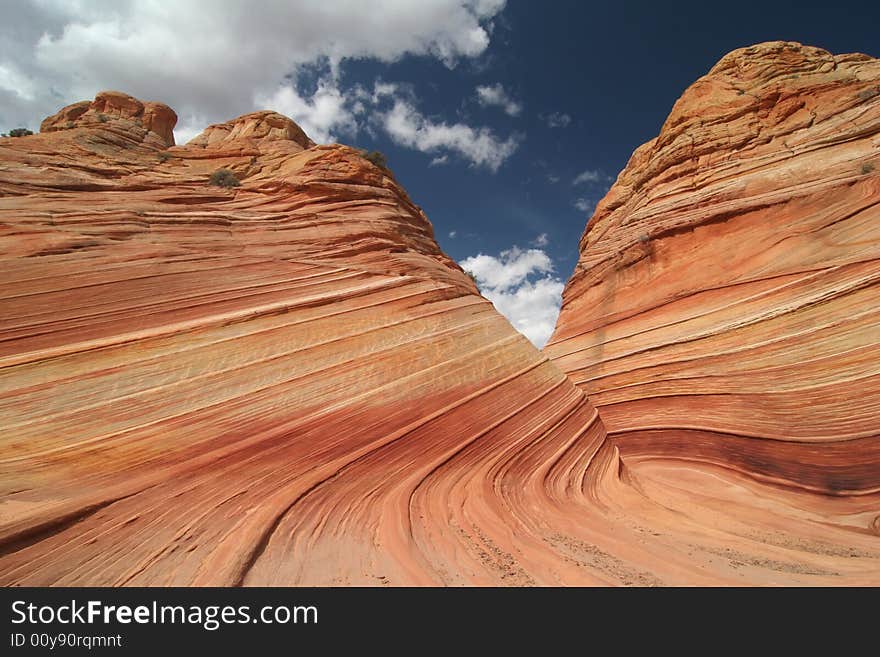 The Wave. Paria Canyon.