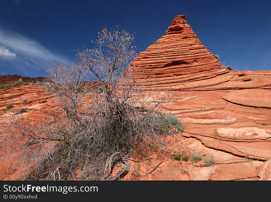 Sandstone Vermillion Cliffs Wilderness, Famous rock formation in Pariah Canyon. Utah. America