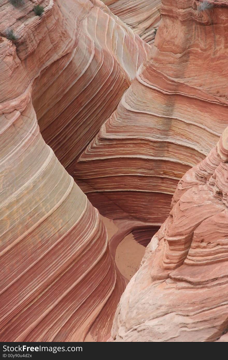 The Wave. Paria Canyon.