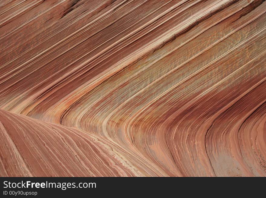 The Wave. Paria Canyon.