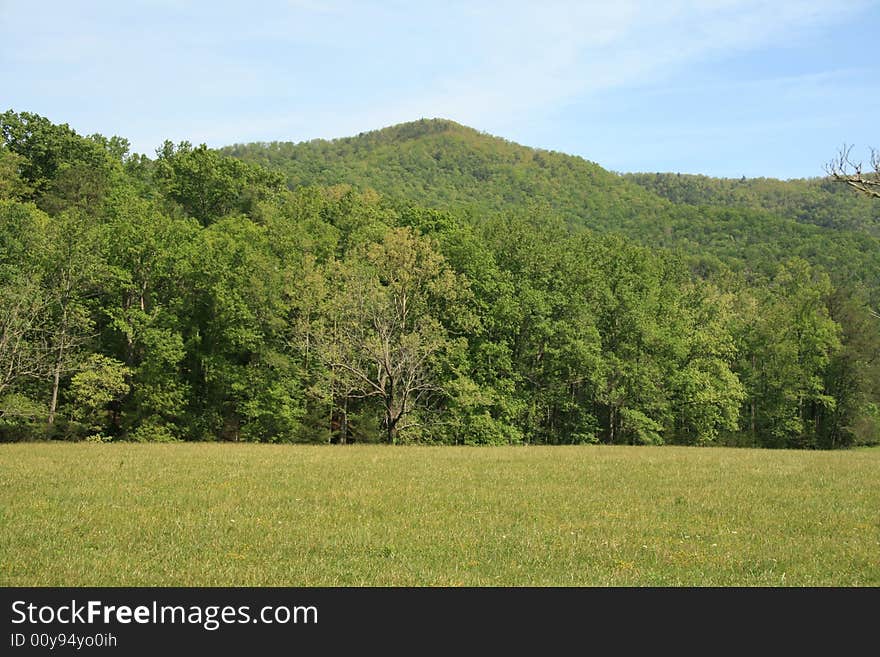 Part of Cades Cove in the Smoky Mountains.