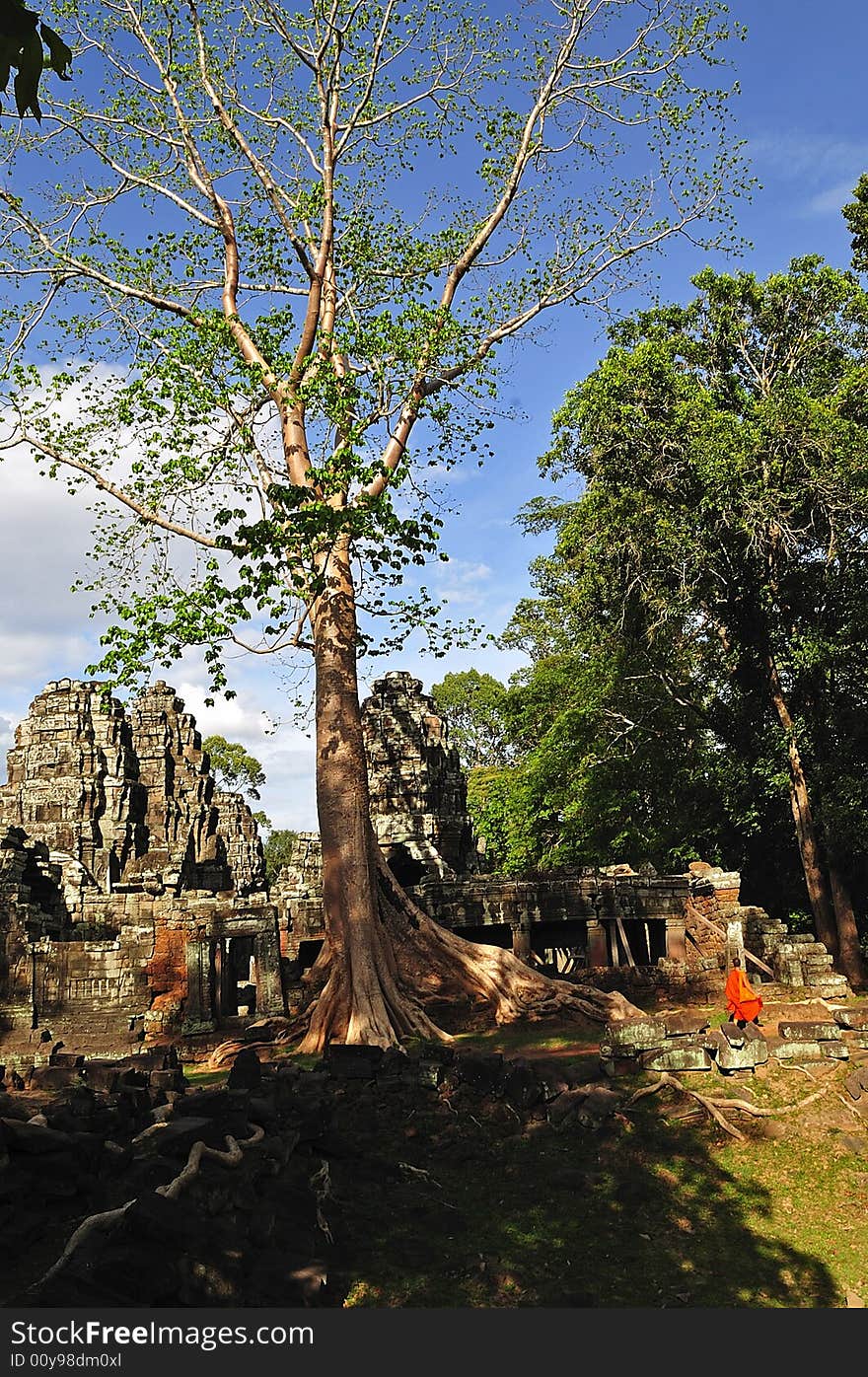 Cambodia, Angkor: The Preah Khan