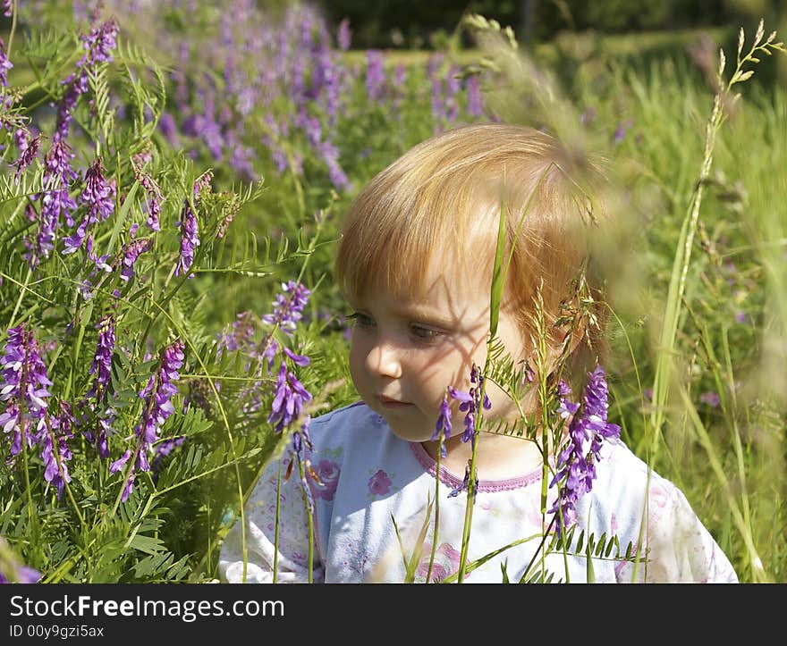 The cute little girl among field flowers. The cute little girl among field flowers