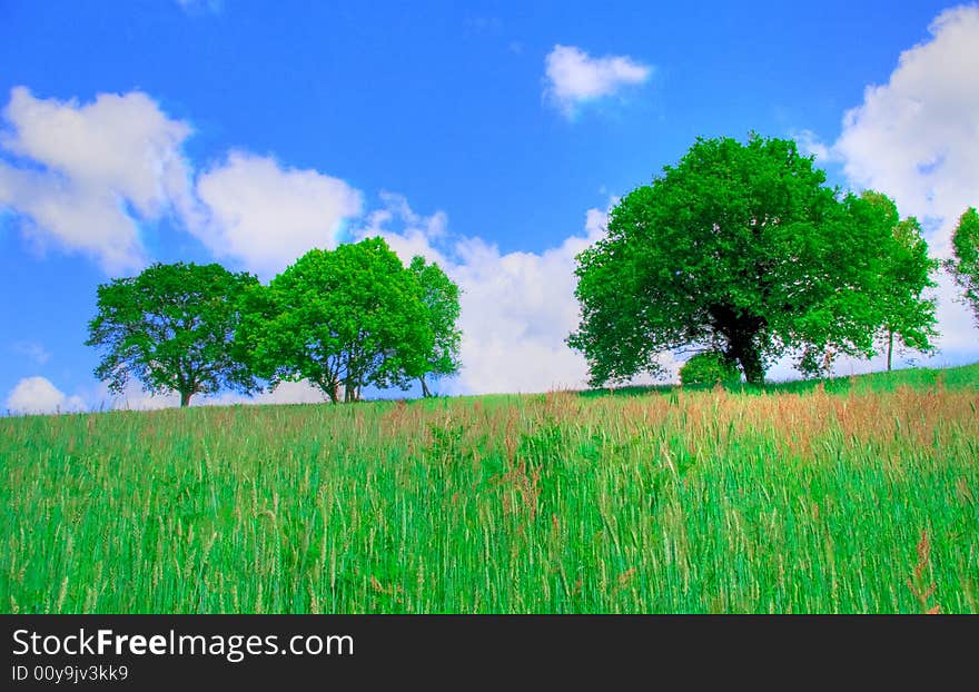 Fields in spring, to a farm pasture, at the spring. Fields in spring, to a farm pasture, at the spring