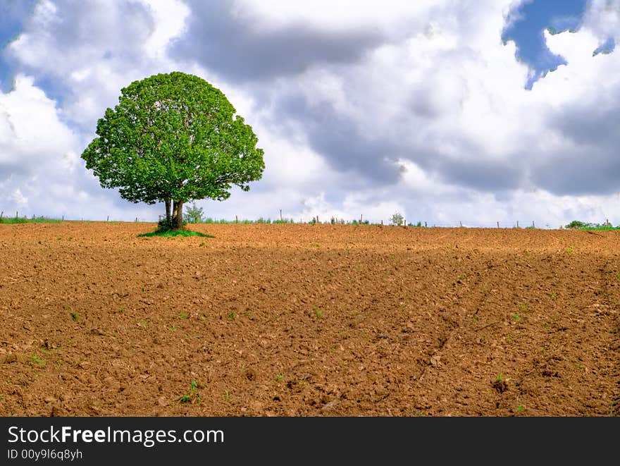 Fields in spring, to a farm pasture, at the spring. Fields in spring, to a farm pasture, at the spring