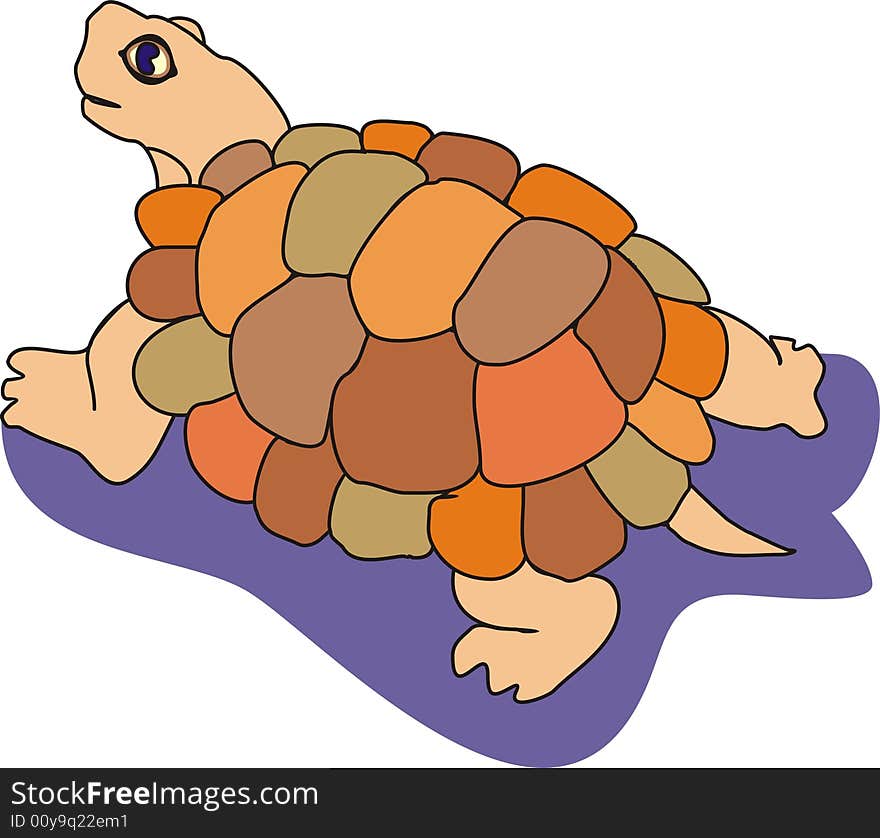 Tortoise