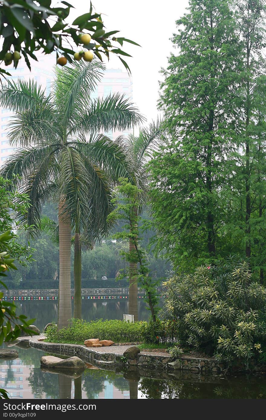 A tropic island in a park.