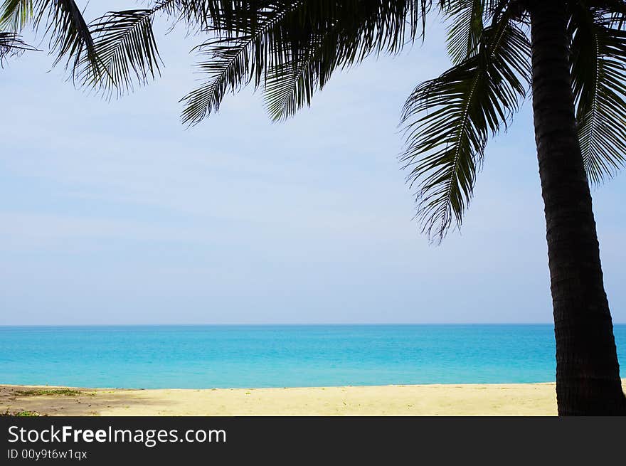 View of nice tropical empty sandy beach with some palm. View of nice tropical empty sandy beach with some palm