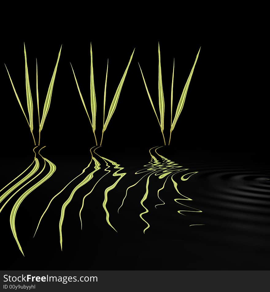 Abstract of japanese bamboo grasses set in three pairs, reflected in rippled  water, over black. Abstract of japanese bamboo grasses set in three pairs, reflected in rippled  water, over black.