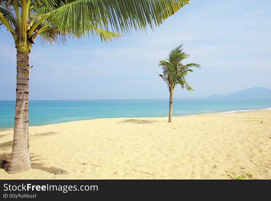 View of nice tropical empty sandy beach with some palm. View of nice tropical empty sandy beach with some palm