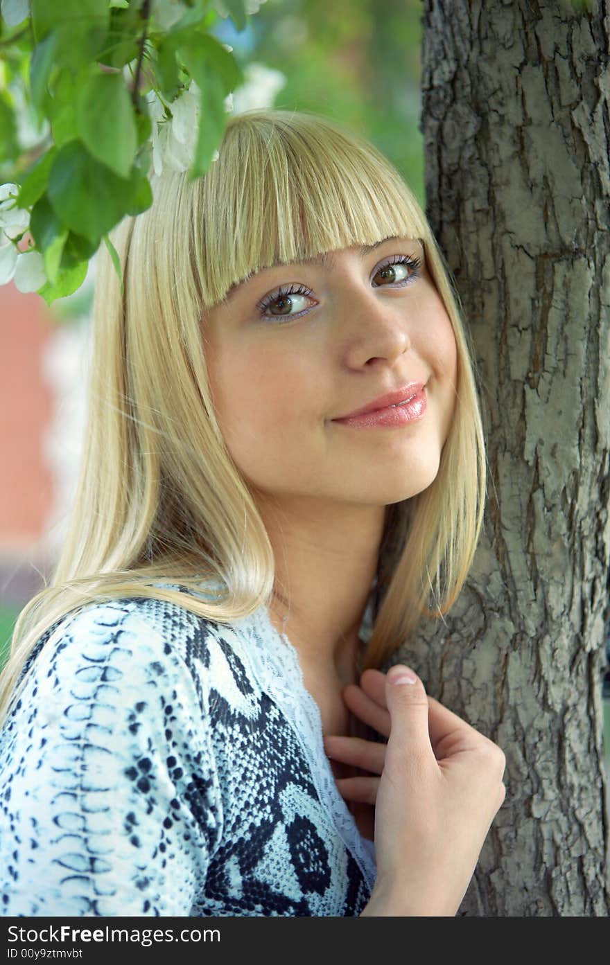 Beauty woman face with tree. Beauty woman face with tree