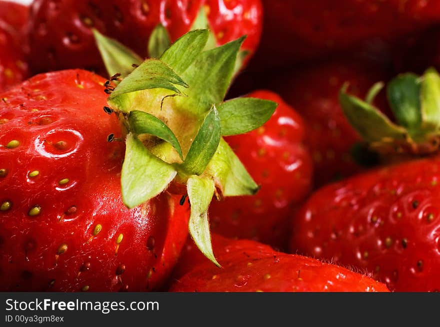 Macro shot of a bunch of strawberries. Macro shot of a bunch of strawberries