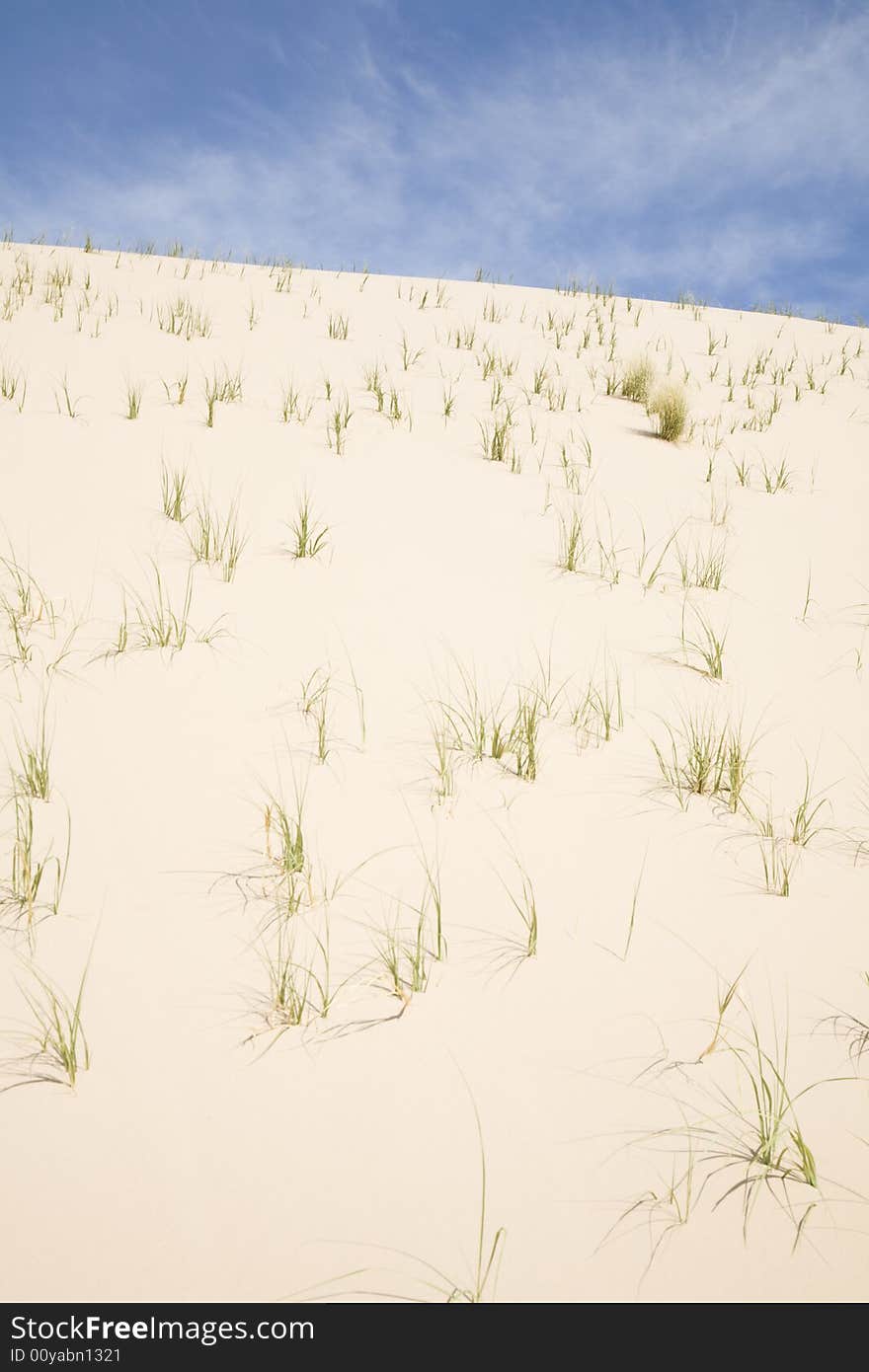 Grassy Dune (vertical)