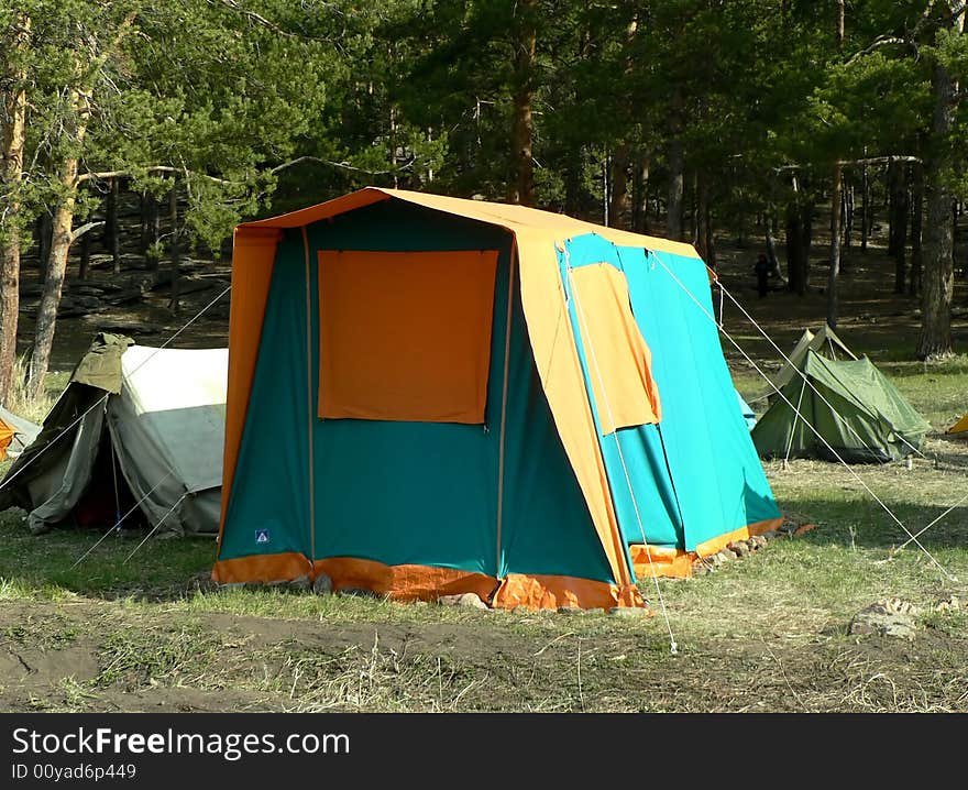 Bright tent in the forrest on the grass