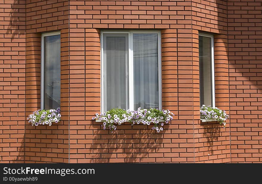 Windows of house with flowerpots on window-sills