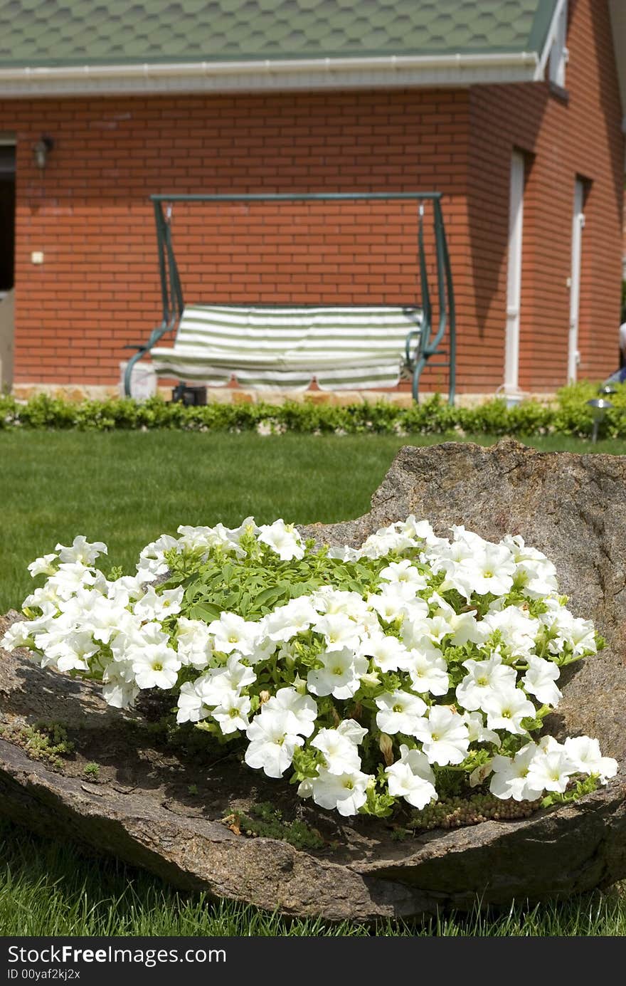 Flowerpot with flowers on a path. Flowerpot with flowers on a path