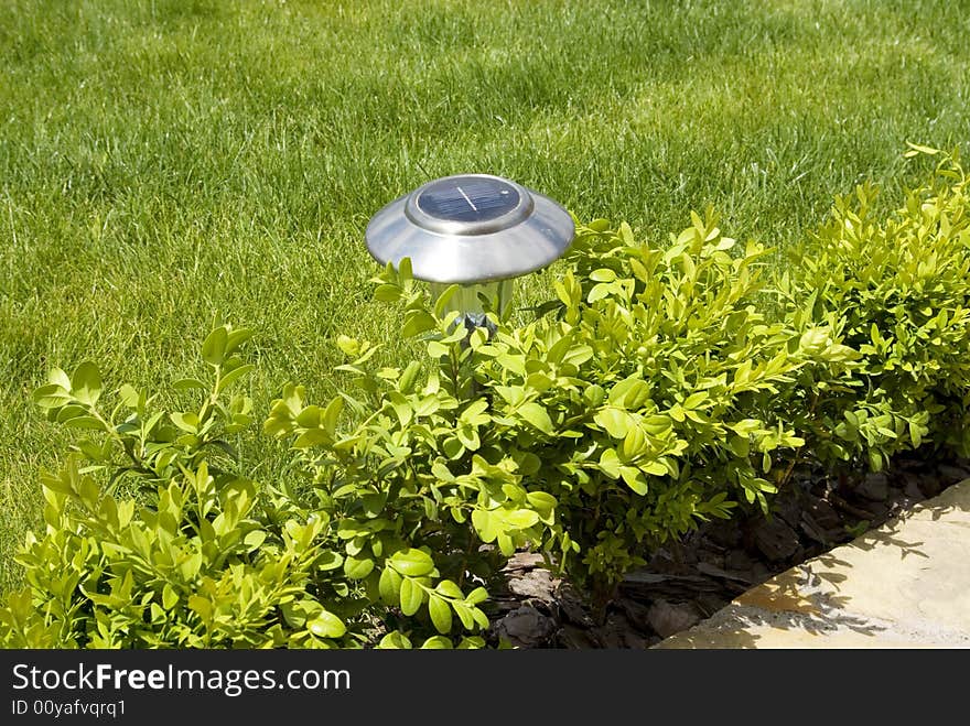 A garden lantern is in a grass