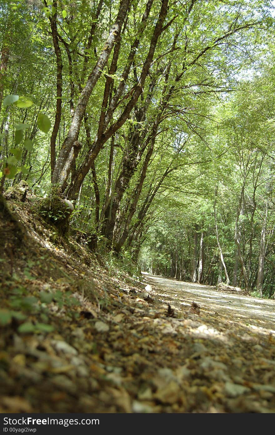 A long path in the mountain. A long path in the mountain