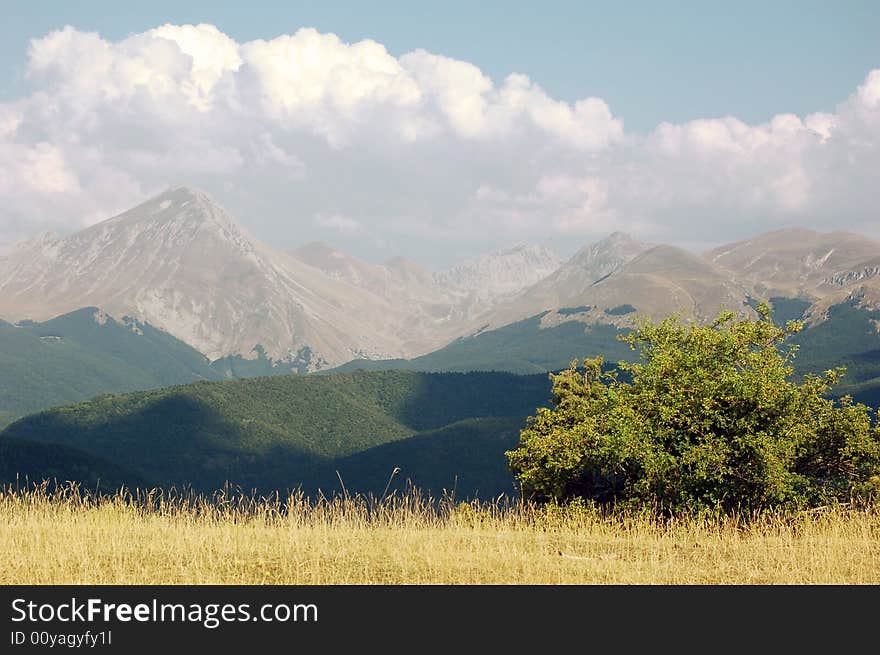 Mountain landscape in summer time. Mountain landscape in summer time