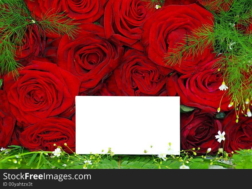 Message on a  rose  background. Message on a  rose  background