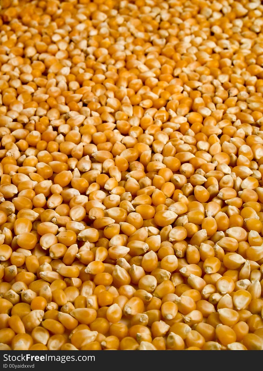 A background of corn beans with a shalow depth of field