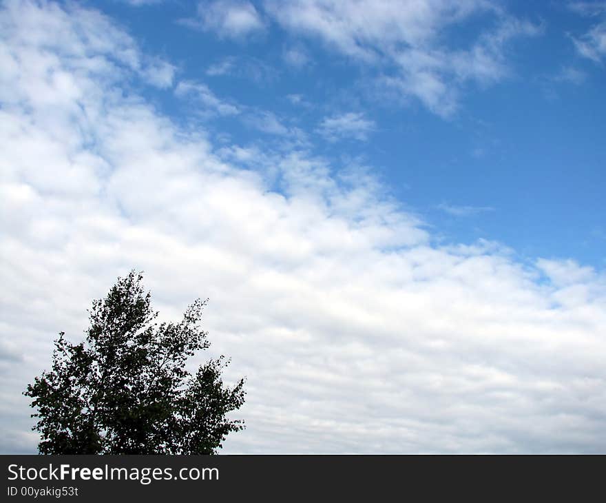 Tree and clouds in the blue sky