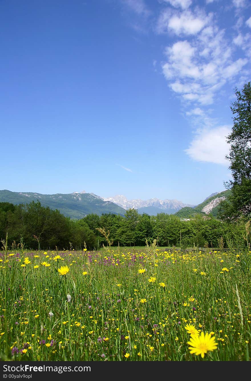 Tranquil rural scene with a meadow and mountains