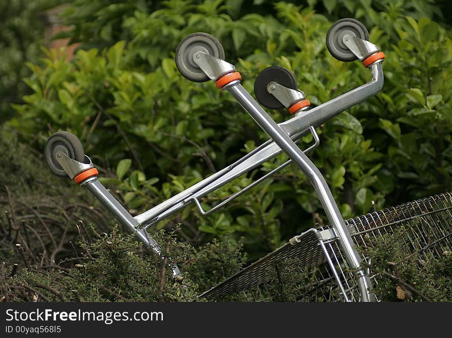 Shopping cart threw in bushes.