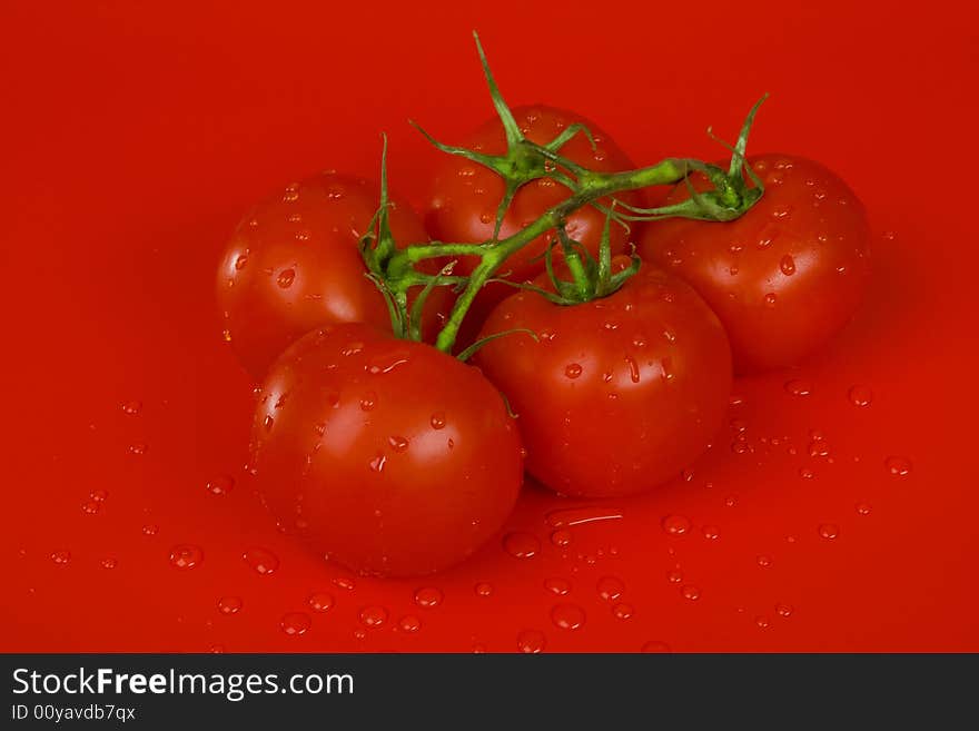 Tomatoes On Red