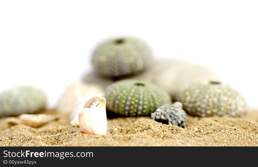 Sea detail isolatet on white background. Sea detail isolatet on white background