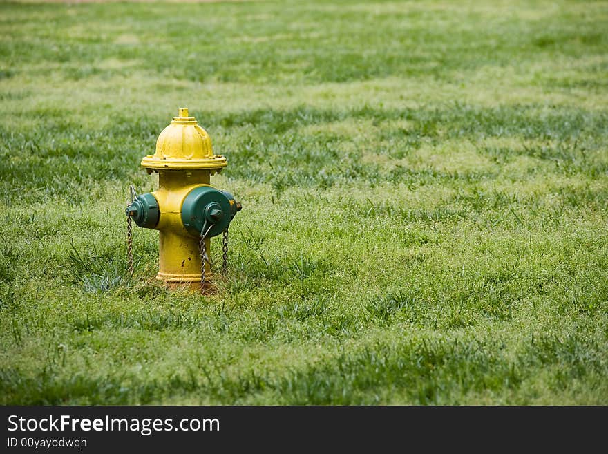 Fire Hydrant Yellow Green