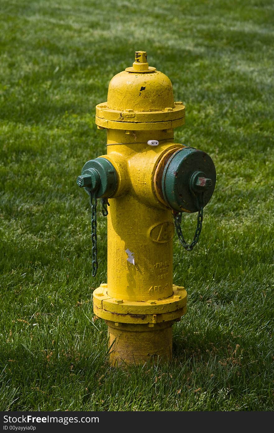 Yellow green fire hydrant