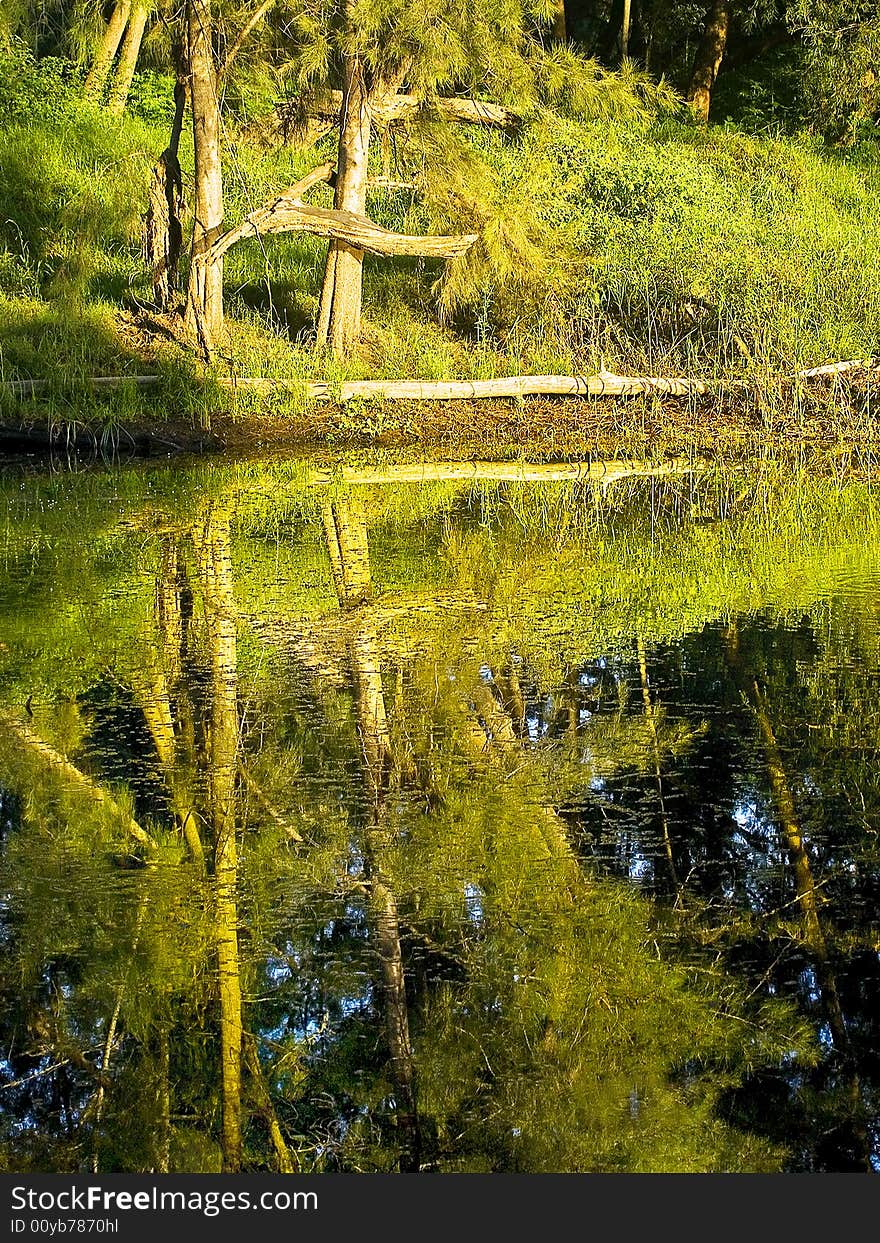 This ia a little cove in a little lake near castlereigh NSW australia.In the morning the water can be that still it reflects like glass. This ia a little cove in a little lake near castlereigh NSW australia.In the morning the water can be that still it reflects like glass.